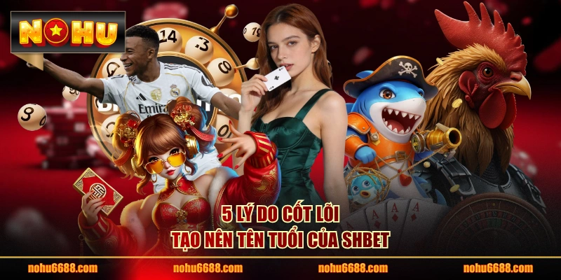5 lý do cốt lõi tạo nên tên tuổi của SHBET