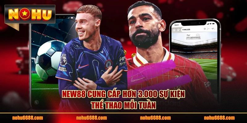 NEW88 cung cấp hơn 3.000 sự kiện thể thao mỗi tuần