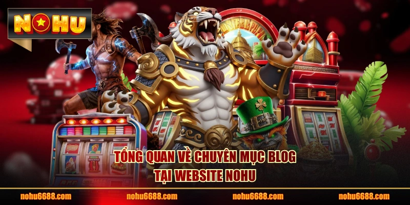 Tổng quan về chuyên mục Blog tại website NOHU